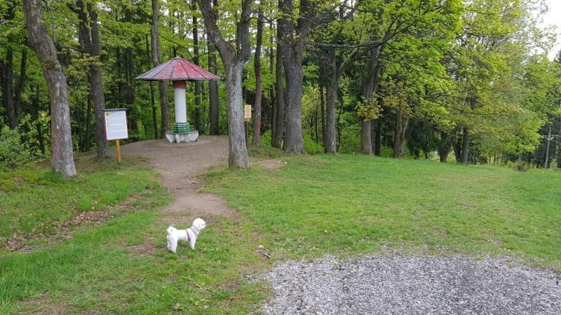 V Soukromi - Meran *
